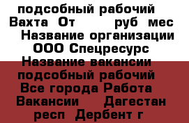 подсобный рабочий . Вахта. От 30 000 руб./мес. › Название организации ­ ООО Спецресурс › Название вакансии ­ подсобный рабочий - Все города Работа » Вакансии   . Дагестан респ.,Дербент г.